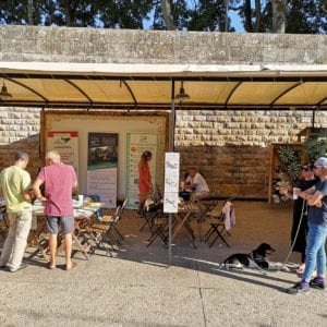 A la recherche de Familles tourangelles solidaires des réfugiés