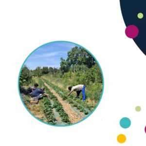 Brochure Dispositif Premières Heures en Chantier (PHC)